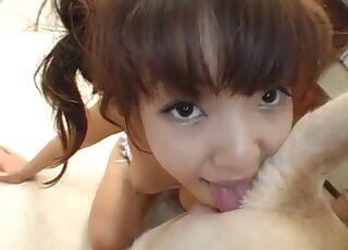 Asian bestiality tube